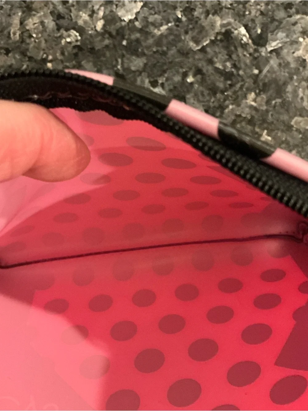 NWT MACY’S INC COLLECTION PINK & BLACK COSMETIC MAKEUP CASE BAG